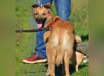 Dani wartet auf Menschen die ihr mit Ruhe und Geduld zeigen, dass das Leben schön ist