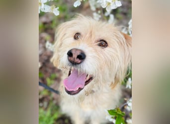 Fröhliche Lulu sucht ihre Familie