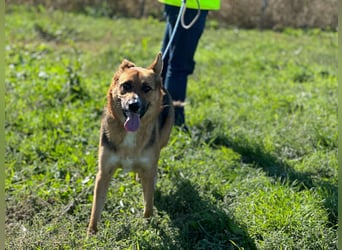 Offene liebevolle Anka sucht ihre Familie