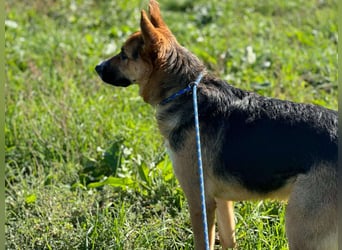 Offene liebevolle Anka sucht ihre Familie