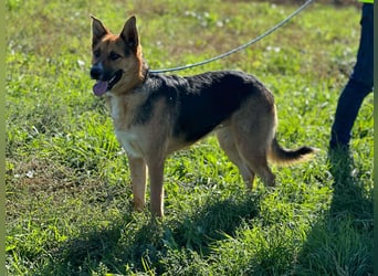 Offene liebevolle Anka sucht ihre Familie