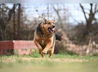 Doris - endlich ankommen und für immer bleiben