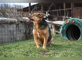 Doris - endlich ankommen und für immer bleiben