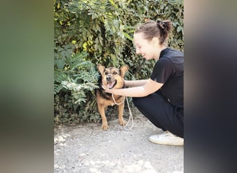 Doris - endlich ankommen und für immer bleiben