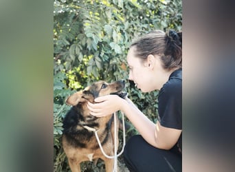 Doris - endlich ankommen und für immer bleiben