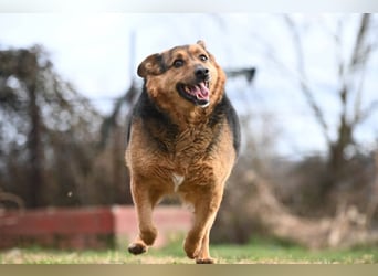 Doris - endlich ankommen und für immer bleiben