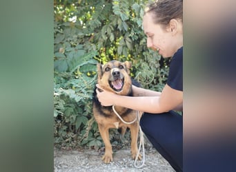 Doris - endlich ankommen und für immer bleiben
