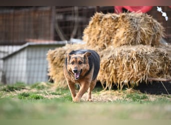 Doris - endlich ankommen und für immer bleiben