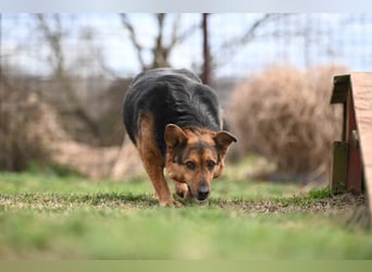 Doris - endlich ankommen und für immer bleiben
