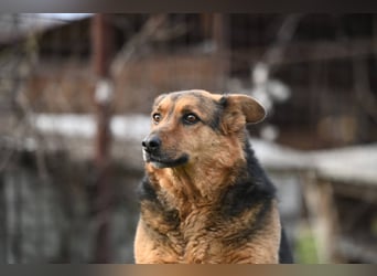 Doris - endlich ankommen und für immer bleiben