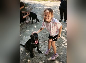Bastian - ein kleiner Kämpfer auf der Suche nach seinem Zuhause
