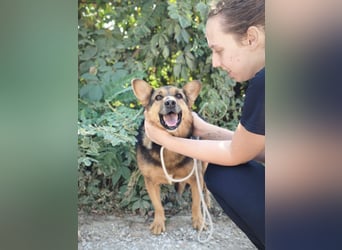 Doris - endlich ankommen und für immer bleiben
