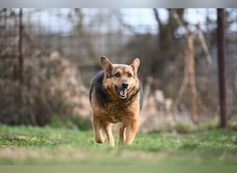 Doris - endlich ankommen und für immer bleiben