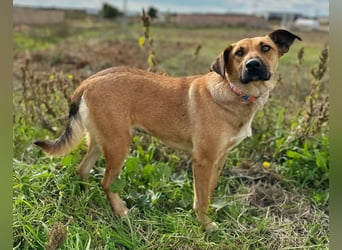 Thalia - liebevolles Kuschelmonster