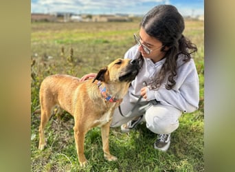 Thalia - liebevolles Kuschelmonster