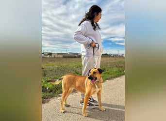 Thalia - liebevolles Kuschelmonster