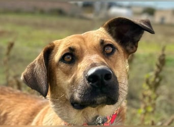 Thalia - liebevolles Kuschelmonster