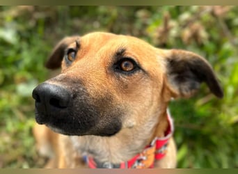 Thalia - liebevolles Kuschelmonster