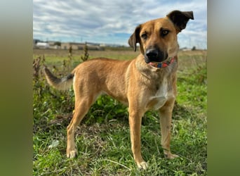 Thalia - liebevolles Kuschelmonster