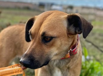 Thalia - liebevolles Kuschelmonster