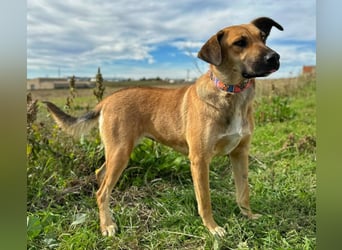 Thalia - liebevolles Kuschelmonster