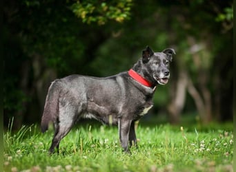 PUMA-sucht aktive Familie