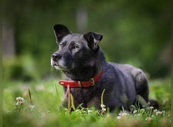 PUMA-sucht aktive Familie