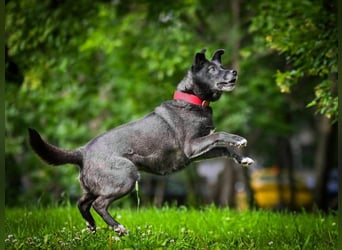 PUMA-sucht aktive Familie