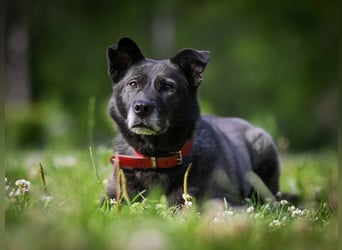 PUMA-sucht aktive Familie