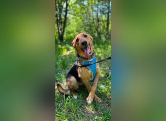 GERDA - sucht Anschluss