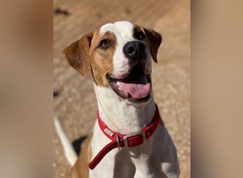 CHARLIE sucht Familienanschluß