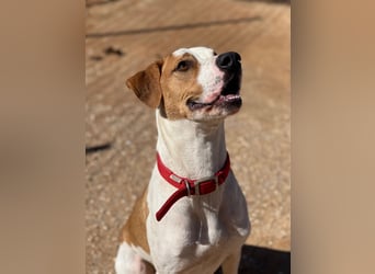 CHARLIE sucht Familienanschluß