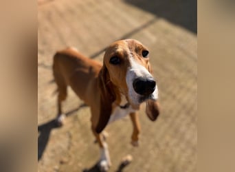 JAX sucht Familienanschluß