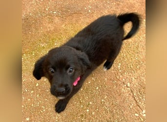 YANG sucht ihre Familie