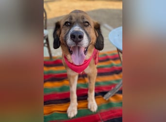 Zauberhafte GABI sucht Familienanschluß