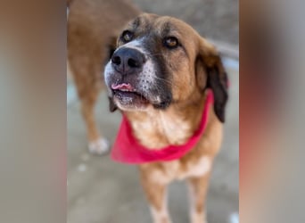 Zauberhafte GABI sucht Familienanschluß