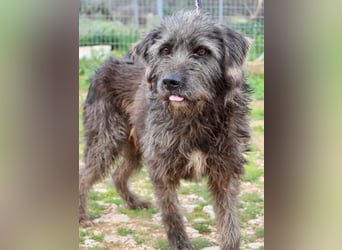 TROY  wünscht sich eine eigene Familie