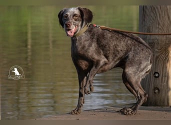sportliche, liebenswerte MIMI sucht ihre Familie