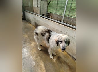 Hübsche Kaja sucht ihre Familie