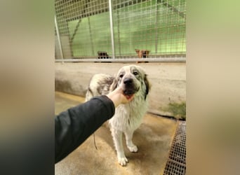 Hübsche Kaja sucht ihre Familie