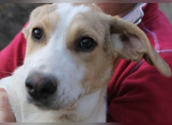 Pascale sucht sein Glück