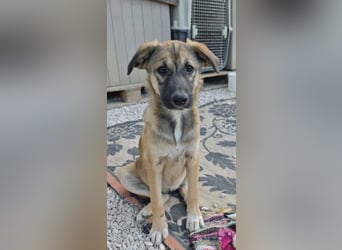 Cleo - süß kann ich!