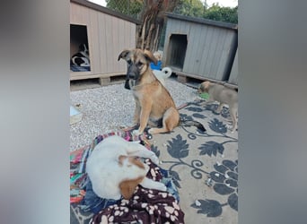 Cleo - süß kann ich!
