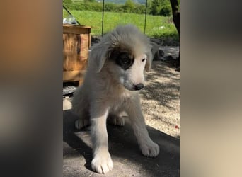 Lulu K mit dem süßen Strubbel-Kopf