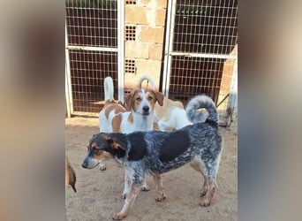 Cherry-Berry - sicherer Hafen gesucht!