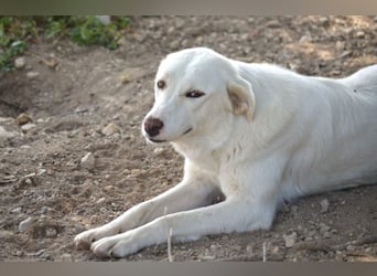 Nelia, bereit für ein Leben voller Liebe