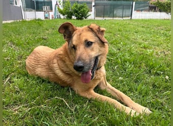 Babis sucht seinen Platz im Leben
