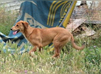 Schüchterne Millie braucht Hilfe