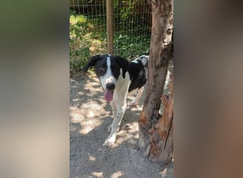 Charis AF - tut sich schwer mit neuen Menschen