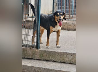 Charis wird immer übersehen